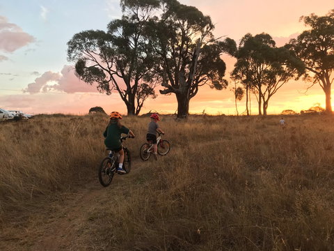 Mountain Bike Trails Tumbarumba - Tourism Cairns 2