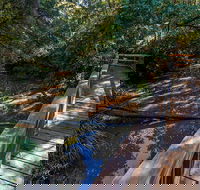 Ms Kellys Walking Track - Tourism Cairns