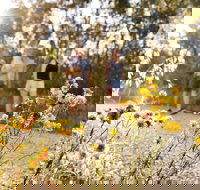 Nail Can Hill - Tourism Cairns