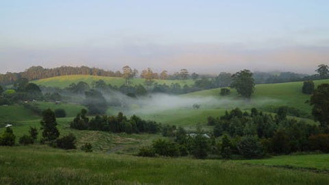 Neerim South - Tourism Cairns 0