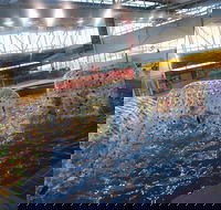 Oasis Regional Aquatic Centre - Tourism Cairns