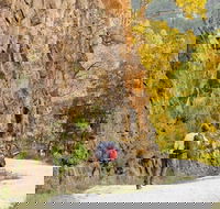 Old Great North Road - World Heritage Walk - Tourism Cairns