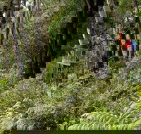 Pipers lookout - Tourism Cairns