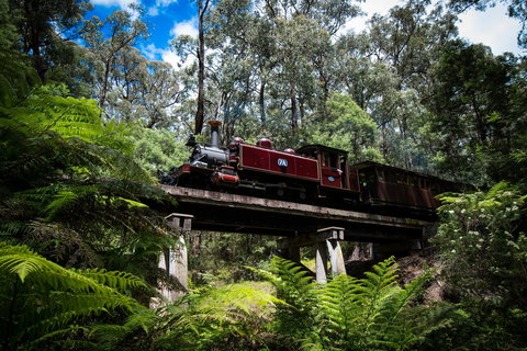 Puffing Billy Railway - Tourism Cairns 0