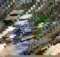 Rapid Fire Paintball - Tourism Cairns