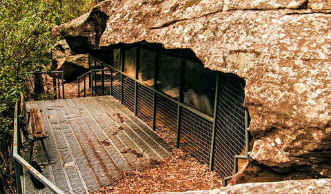 Red Hands Cave Walking Track - Blue Mountains National Park - Tourism Cairns 0