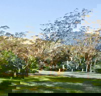 Red Cedar Flat Picnic Area - Tourism Cairns