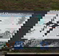 Settlement Point Viewing Platform - Tourism Cairns