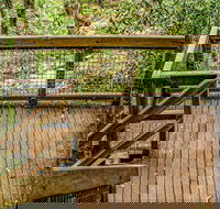 Somersby Falls walking track - Tourism Cairns