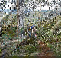 Summits Walking Track - Tourism Cairns