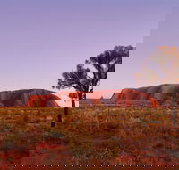 Sunrise Viewing Area Talinguru Nyakunytjaku - Tourism Cairns