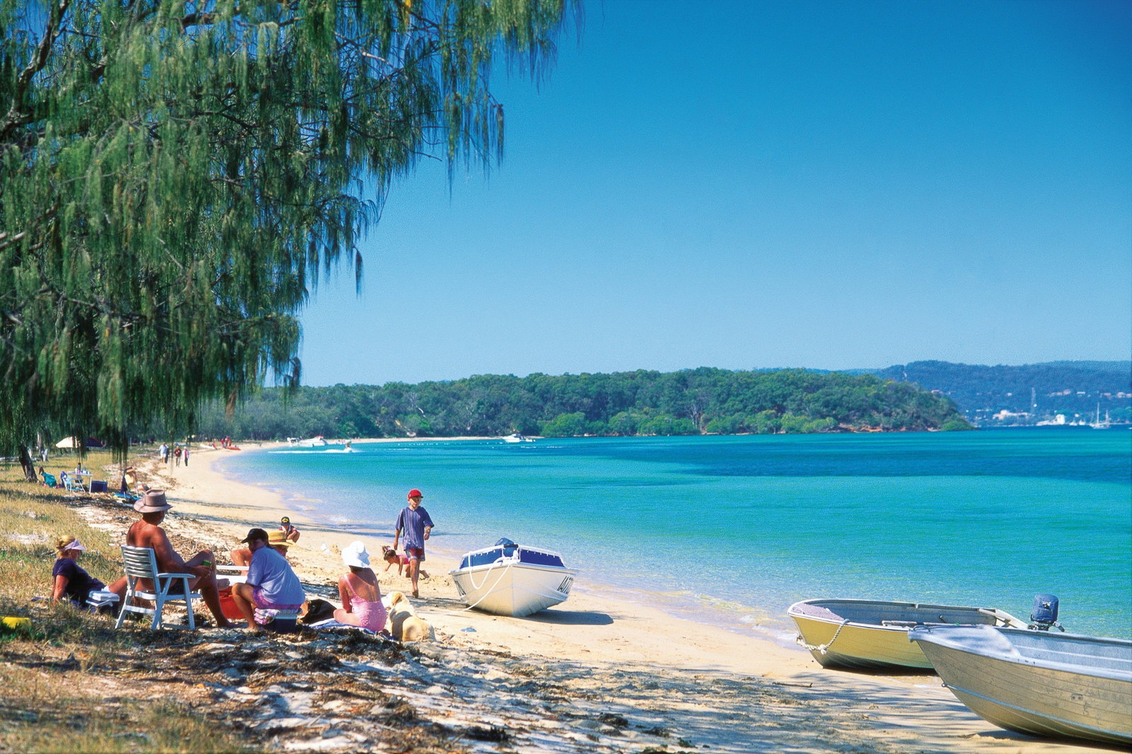 Peel Island QLD Tourism Cairns