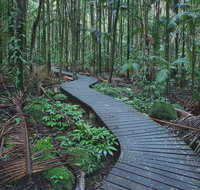 The Channon Protesters Falls Nimbin and Mount Nardi