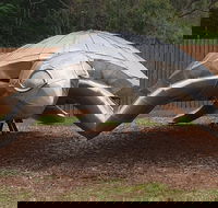 Underwater Marine Sculptures - Tourism Cairns