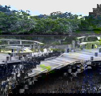 Walk on Water walking track - Tourism Cairns