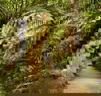 William Ricketts Sanctuary - Tourism Cairns