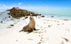 Abrolhos Islands - thumb 0