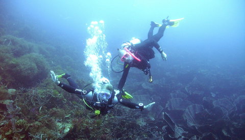 Abrolhos Islands - Tourism Cairns 2