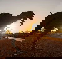 Australian Dinosaur Trail - Tourism Cairns