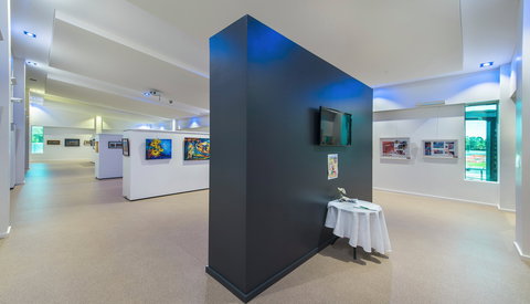 Banana Shire Regional Art Gallery - Tourism Cairns 0