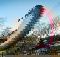 Big Trout - Tourism Cairns