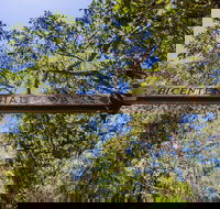 Bribie Island Bicentennial Trails - Tourism Cairns