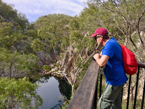 Crows Nest National Park - Tourism Cairns 2