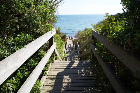 Davey's Bay - Tourism Cairns 1