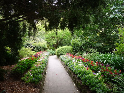 EG Waterhouse National Camellia Gardens - Tourism Cairns 1