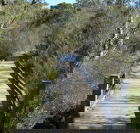 Falcon Crescent Link Track - Tourism Cairns