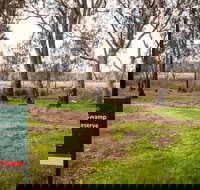 Gemmill Swamp Wildlife Reserve - Tourism Cairns