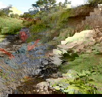 Gold Panning Deep Creek - Tourism Cairns