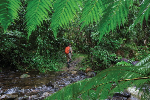 Goldsborough Valley, Wooroonooran National Park - Tourism Cairns 0