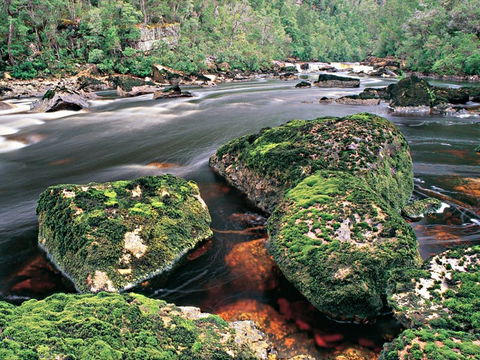 Gordon River - The - Tourism Cairns 2