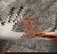 Hands of Fame Park - Tourism Cairns