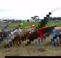 High Country Trail Rides - Tourism Cairns