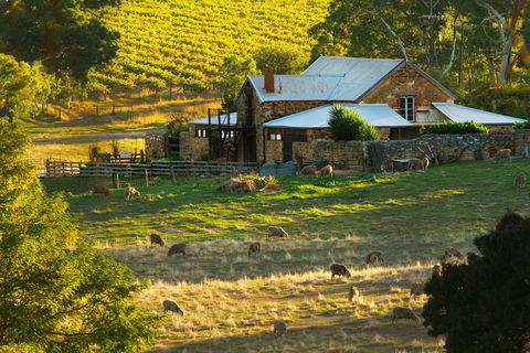 Hutton Vale Farm - Tourism Cairns 1
