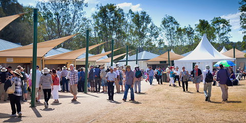 Ivory's Rock Conventions And Events - Tourism Cairns 2