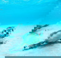 Jurien Bay - Tourism Cairns