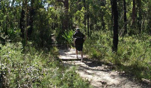 Karloo Walking Track - Tourism Cairns 0