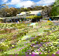 Kate's Berry Farm - Tourism Cairns