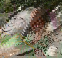 Koala Park Sanctuary - Tourism Cairns