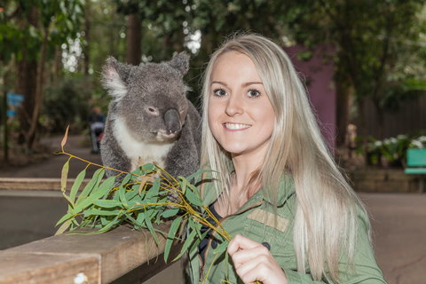 Koala Park Sanctuary - Tourism Cairns 0