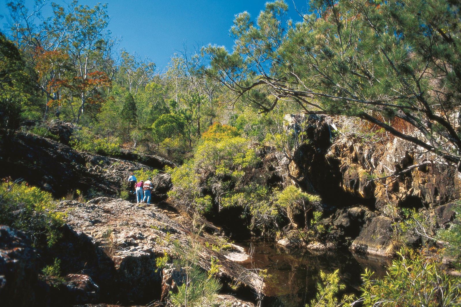 Tablelands QLD Tourism Cairns