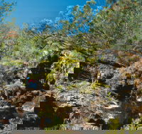 Kroombit Tops National Park - Tourism Cairns