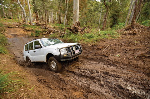 Kroombit Tops National Park - Tourism Cairns 1
