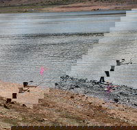 Lake Wyangala - Tourism Cairns
