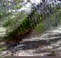 Lanky's Walk - Tourism Cairns