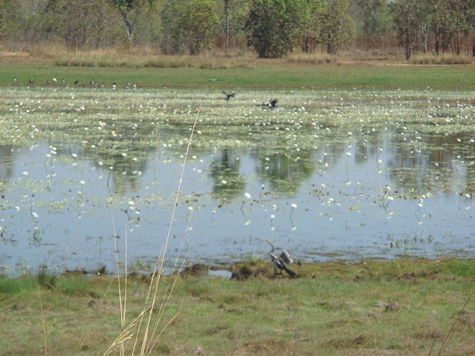  Tourism Cairns