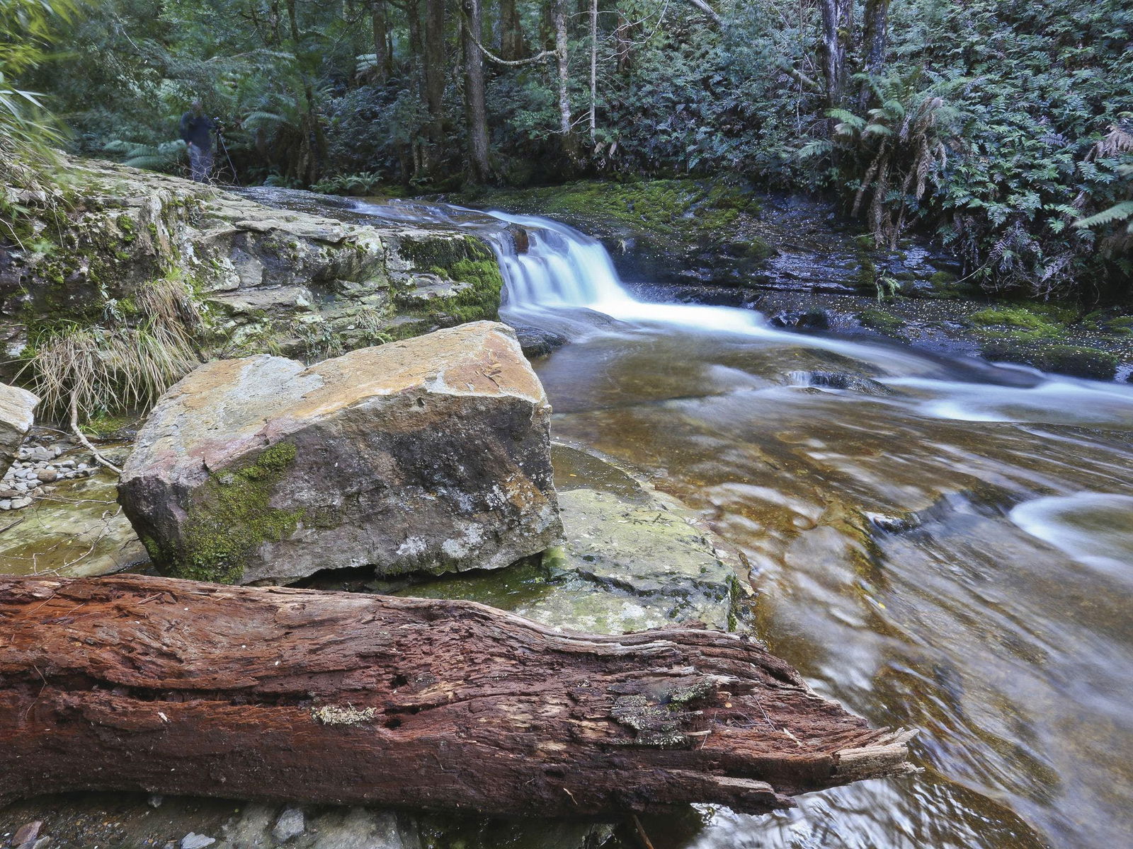 Liffey TAS Tourism Cairns
